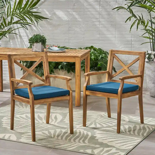 2 chaises de salle à manger avec coussins