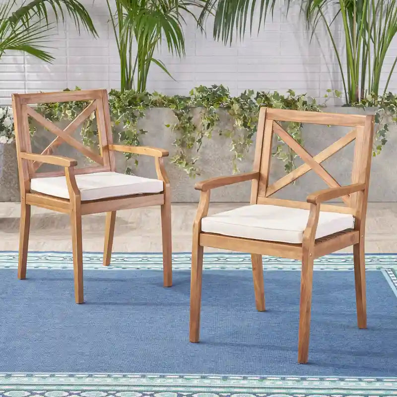 2 chaises de salle à manger avec coussins