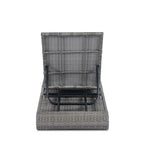 Christopher Knight Home - Angela PE Chaise longue d'extérieur en rotin, ensemble de 2
