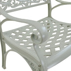 Chaises de salle à manger d'extérieur Clihome avec accoudoirs en fonte d'aluminium (lot de 2)